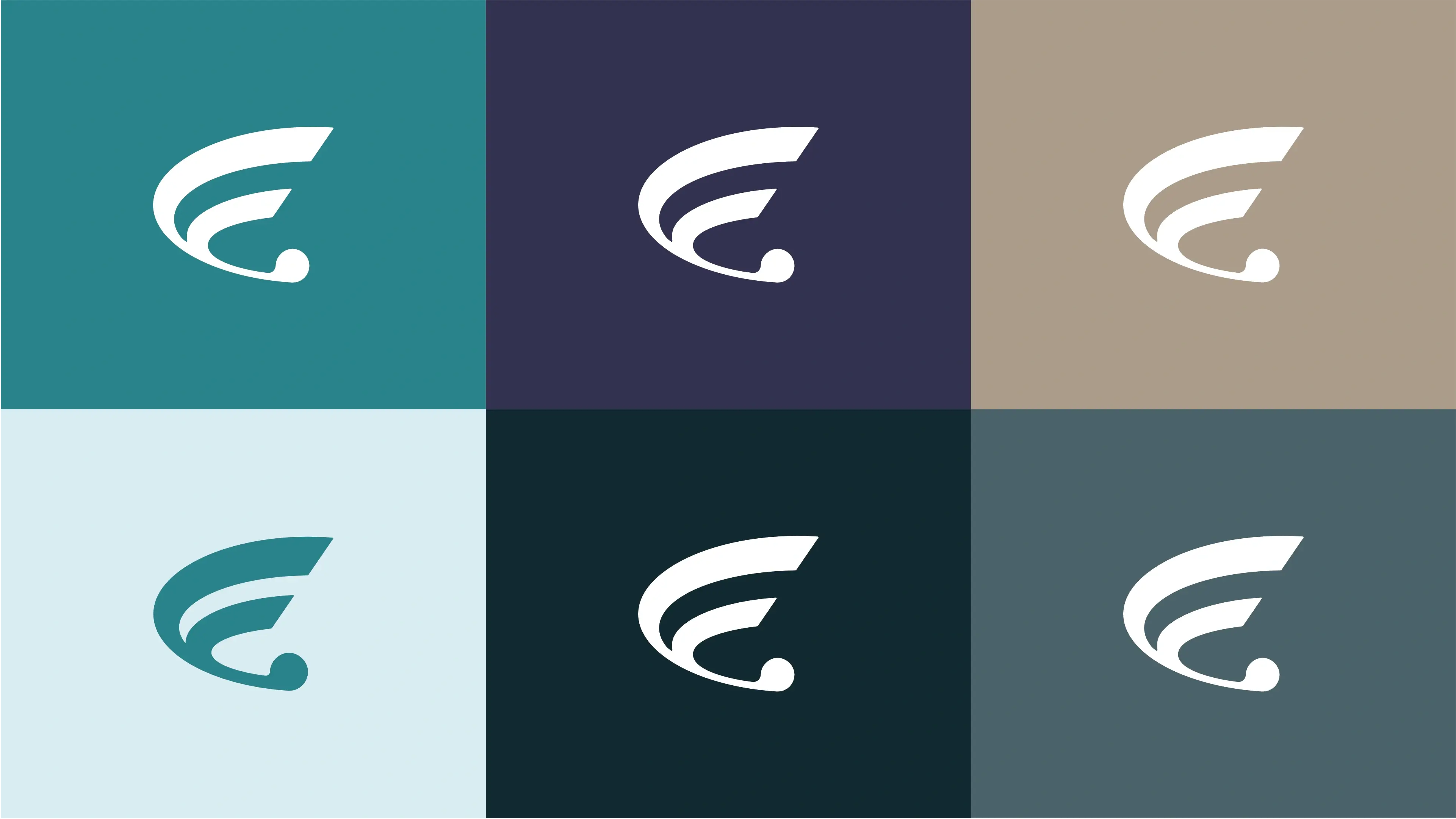 Colour Palette Visual