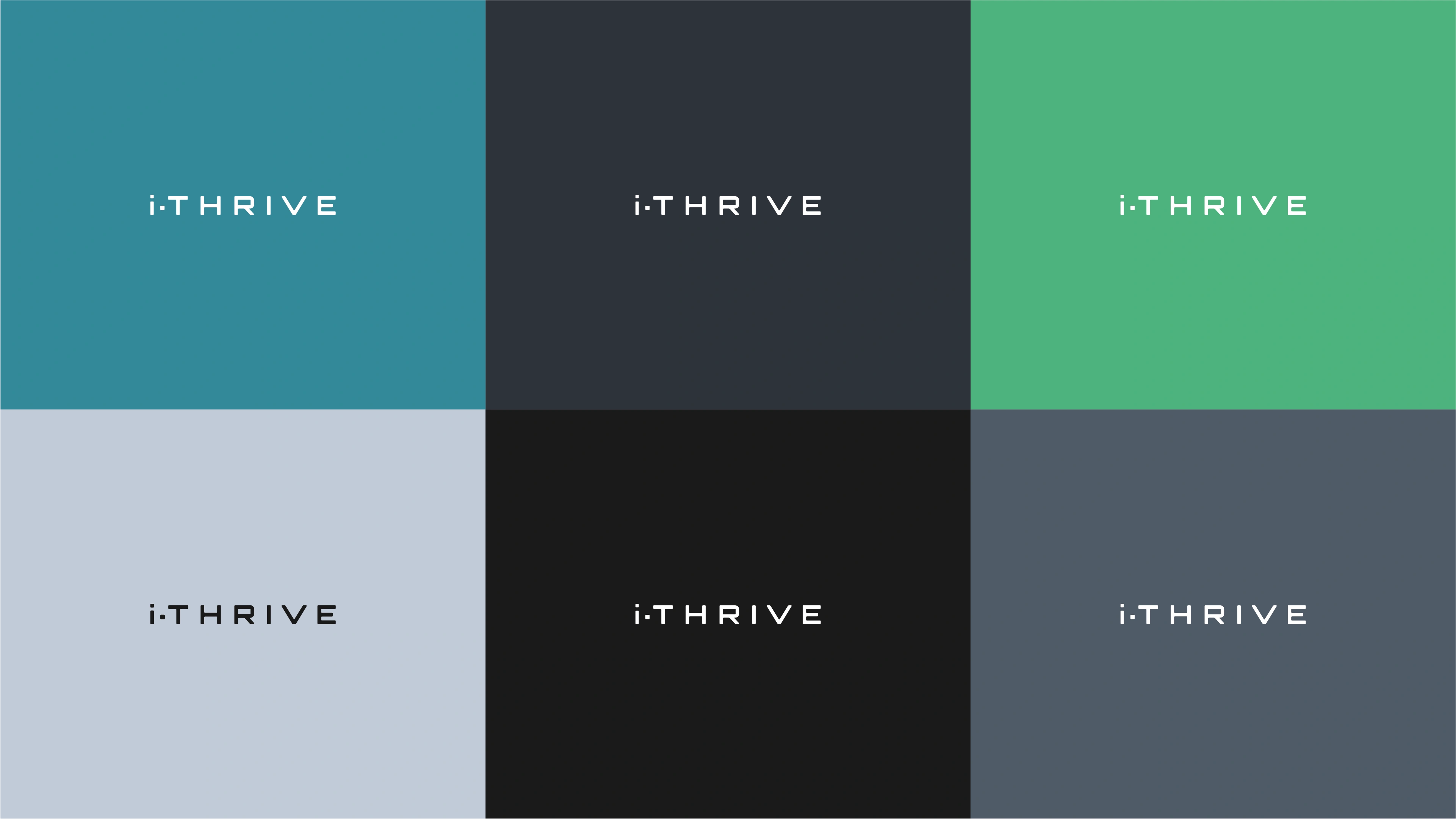 Colour Palette Visual